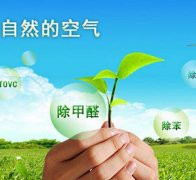 除甲醛對于住房安全和環境保護的作用有什么？