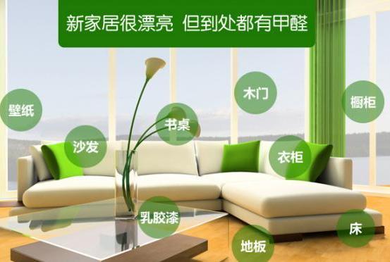 在佛山辦公室除甲醛哪家專業方法?怎樣打造環保無味辦公室 佛山除甲醛