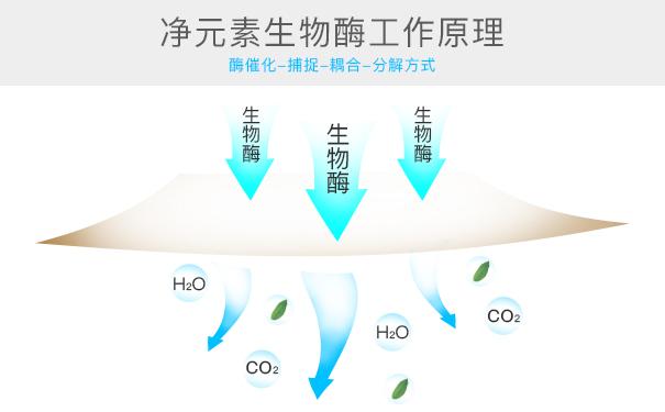 光觸媒、生物酶、空氣凈化器,哪家除甲醛公司效果好? 光觸媒、生物酶、空氣凈化器,哪家除甲醛公司效果好?